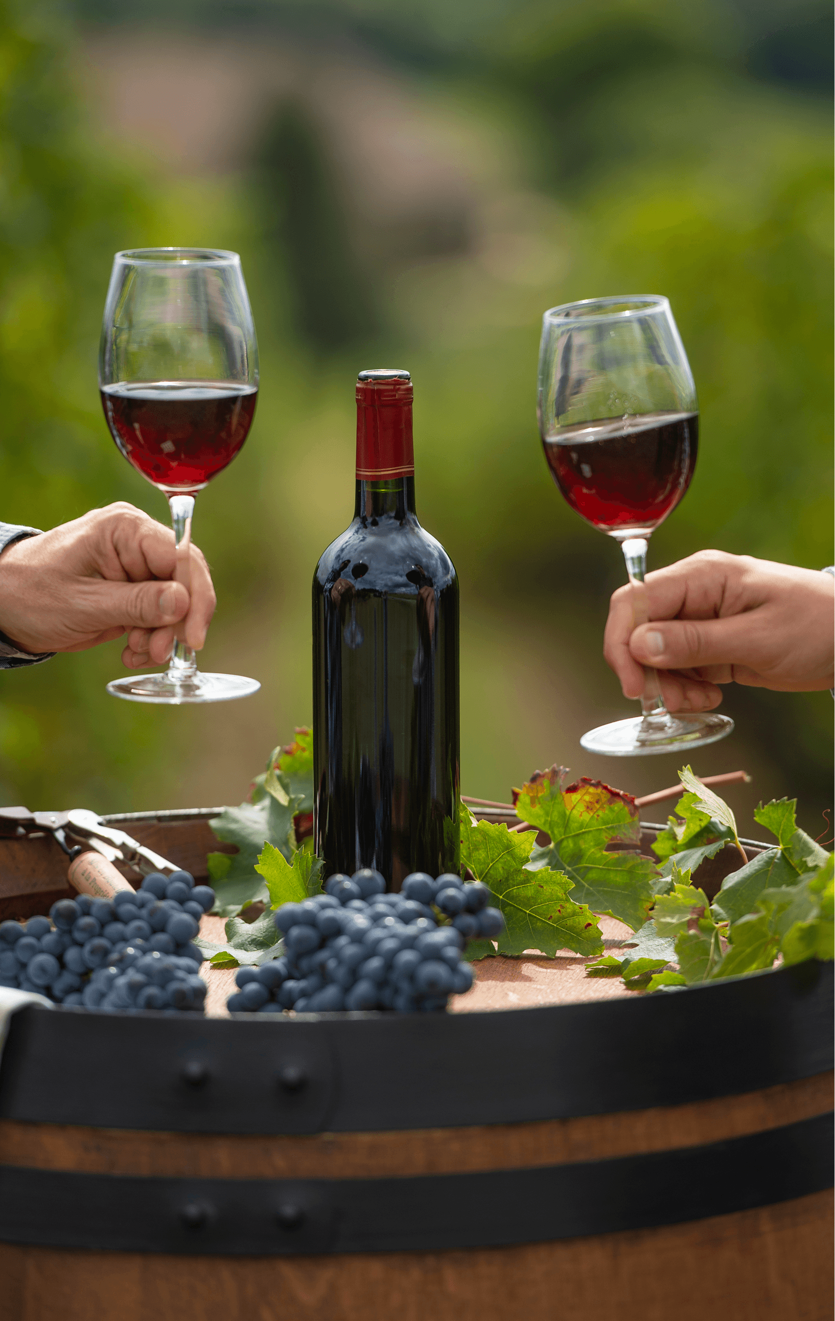 Private Vineyard Tastings